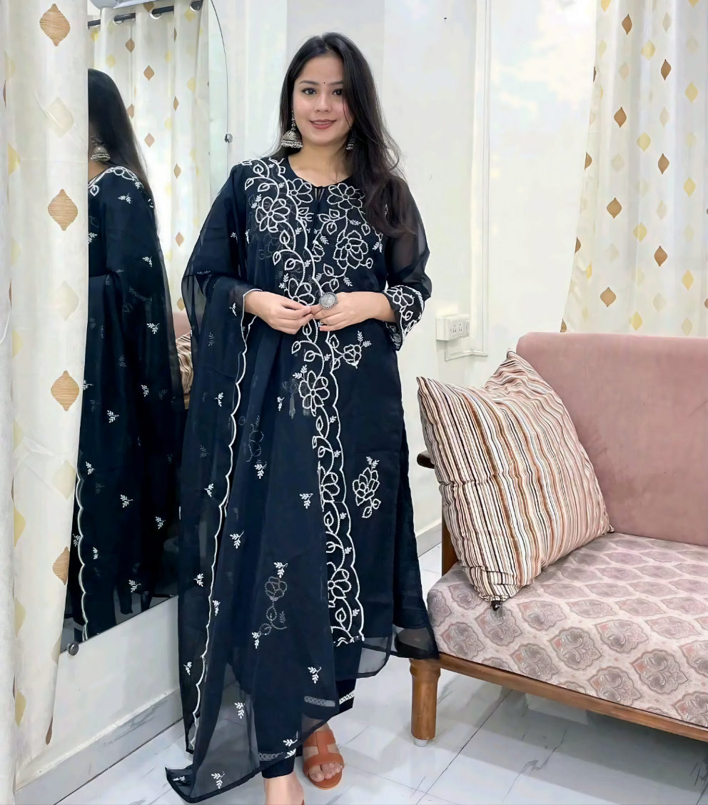 Noor-e-Saba Organza Black Embroidered Salwar Kameez Set With Dupatta