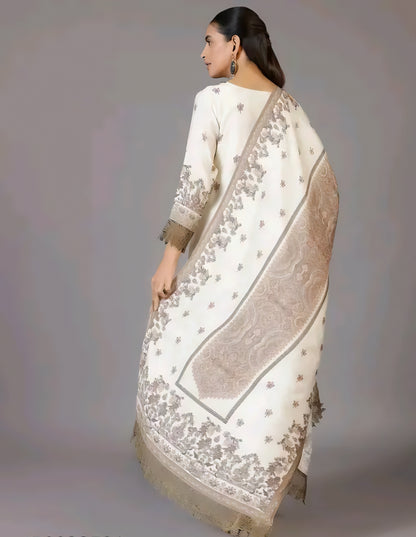 Ishani - Shantoon Grey Embroidered Salwar Kameez Set